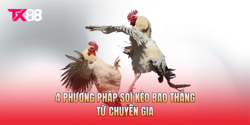 4 phương pháp soi kèo bao thắng từ chuyên gia