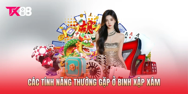Các tính năng thường gặp ở binh xập xám