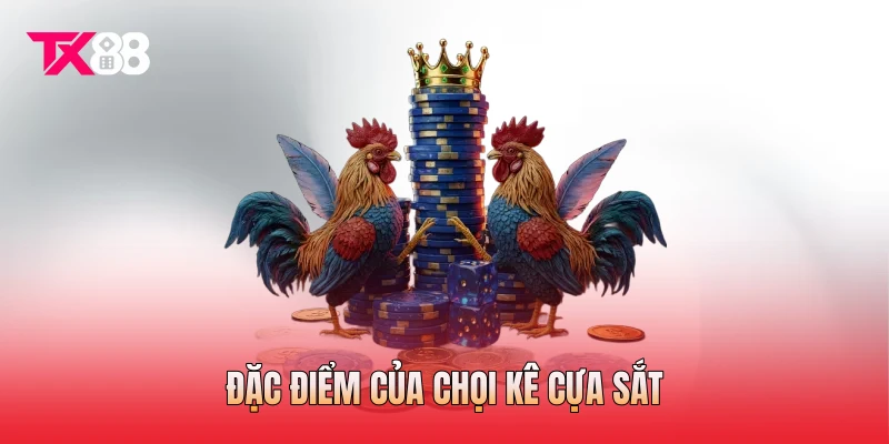 Đặc điểm của chọi kê cựa sắt Đặc điểm của chọi kê cựa sắt