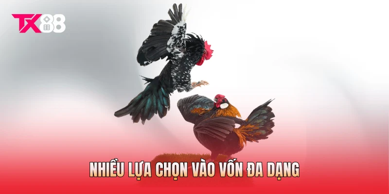 Nhiều lựa chọn vào vốn đa dạng