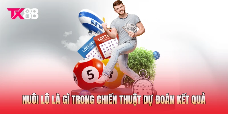 Nuôi lô là gì trong chiến thuật dự đoán kết quả Nuôi lô là gì trong chiến thuật dự đoán kết quả