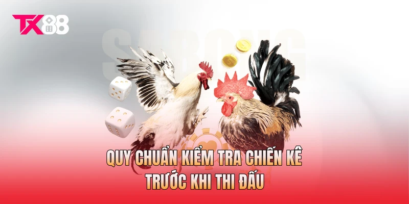 Quy chuẩn kiểm tra chiến kê trước khi thi đấu Quy chuẩn kiểm tra chiến kê trước khi thi đấu