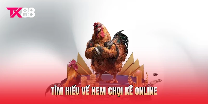 Tìm hiểu về xem chọi kê online Tìm hiểu về xem chọi kê online