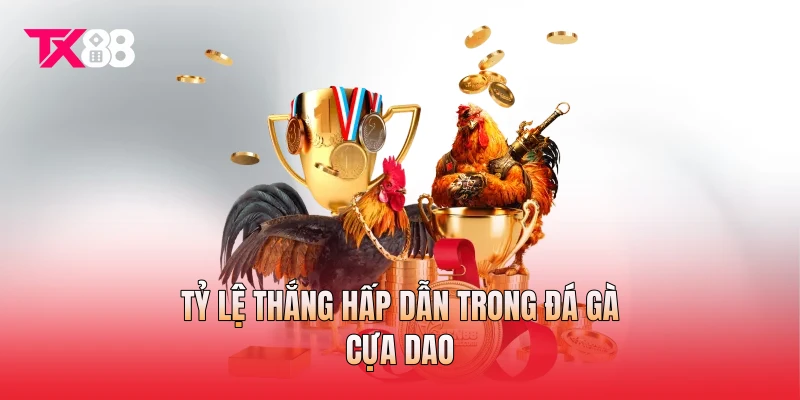 Tỷ lệ thắng hấp dẫn trong đá gà cựa dao Tỷ lệ thắng hấp dẫn trong đá gà cựa dao